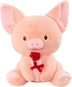  ʂ  u^ ӂӂ  傫  A 30cm 킢  ܎O Mtg sN q v[g NbV