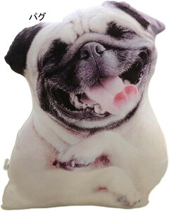  ʂ W[}VFp[h  傫 { A  킢 3D  Ck  NbV YQ YQ D n v[g  YQ