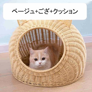 Lp ybgxbh ^ LlXg h[^ LbgnEX ˂ ^  pxbh e pP[W ҂ 􂦂 I[V[Y ȒP ʋC ėp t NbV