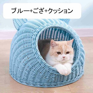 Lp ybgxbh ^ LlXg h[^ LbgnEX ˂ ^  pxbh e pP[W ҂ 􂦂 I[V[Y ȒP ʋC ėp t NbV