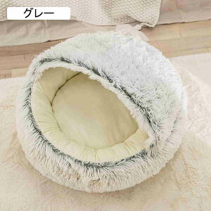 Lpxbh ~p h[^ ybgxbh LnEX ybgpQ zc RR _炩 g ^ pQ ybgNbV ybg}bg L   ې ʔNp ybgn