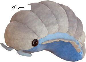 _CIEO\NVʂ  A { ˂ނ˂ 傫 Gǂ u ӂӂ YQ a q̓ NX}X v[g 50cm w Əj wj O[