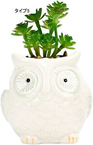 A v^[ 2Zbg ~j K[fIuWF I[ig ͋Co F*2 K[fjOu  ^Cv2 ϗtA|bg t[|bg T{e T{e|bg 