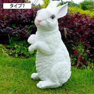 I[ig |W  ^Cv F Aq̑ K[fI[ig Aq u Aq̒ A  K[fIuWF  r Aq Ђ _bN  