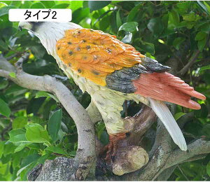 k G u ^ h̒u G k { I[ig K[fI[ig ̒  O ̎G 뒤̑ Ԓd A[g ̒u   F