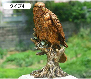 k G u ^ h̒u G k { I[ig K[fI[ig ̒  O ̎G 뒤̑ Ԓd A[g ̒u   F