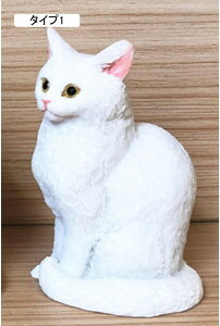 Lu ̂ЂTCY L̒u ^Cv2 H|i ˂̒u ʐ^ IuWF CeA A AeB[N IuWF L Lu ObY LObY G F