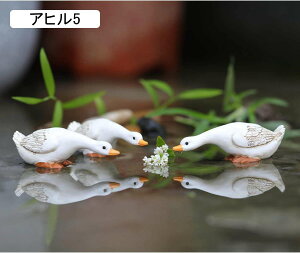 9 K[fjOG Aq u  r AqZbg 3HZbg K[fI[ig 낪ɂ₩  Y S K[f   u i A  뉀 I[ig 