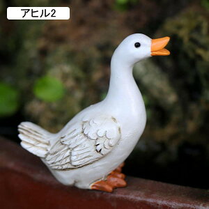 9 K[fjOG Aq u  r AqZbg 3HZbg K[fI[ig 낪ɂ₩  Y S K[f   u i A  뉀 I[ig 