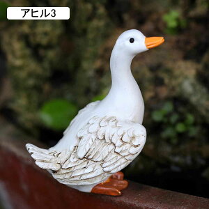 9 K[fjOG Aq u  r AqZbg 3HZbg K[fI[ig 낪ɂ₩  Y S K[f   u i A  뉀 I[ig 