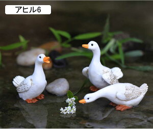 9 K[fjOG Aq u  r AqZbg 3HZbg K[fI[ig 낪ɂ₩  Y S K[f   u i A  뉀 I[ig 