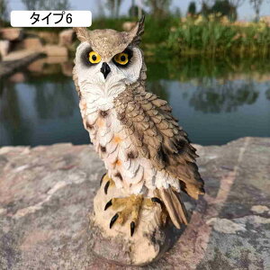 傫 tNE {  IVȒu tNE K[fjOG 낪ɂ₩ u AEghA fR[V CeAG 뒤̑ ̕i ^ 