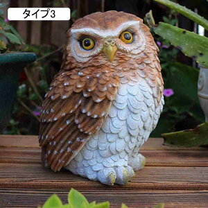 傫 tNE {  IVȒu tNE K[fjOG 낪ɂ₩ u AEghA fR[V CeAG 뒤̑ ̕i ^ 