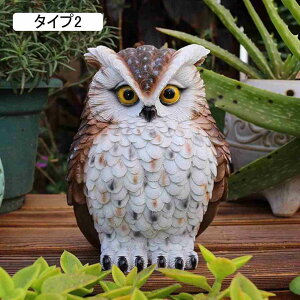 傫 tNE {  IVȒu tNE K[fjOG 낪ɂ₩ u AEghA fR[V CeAG 뒤̑ ̕i ^ 