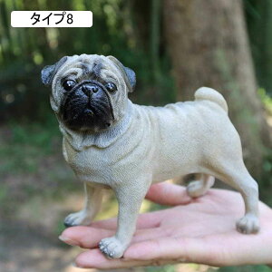 K[fI[ig  r[O pO  Aj}IuWF tBMA ̒ K[fIuWF i Y AeB[N IuWF u G ^Cv {