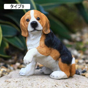 K[fI[ig  r[O pO  Aj}IuWF tBMA ̒ K[fIuWF i Y AeB[N IuWF u G ^Cv {