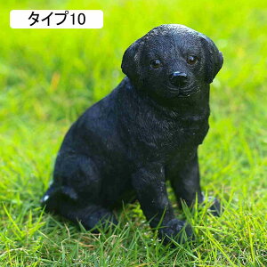 K[fI[ig  r[O pO  Aj}IuWF tBMA ̒ K[fIuWF i Y AeB[N IuWF u G ^Cv {