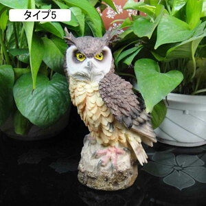 ӂ낤 tNE  AeB[N u  ^Cv Aj}IuWF F  N̗ǂ fBXvC Xܑ CeAG IuWF CeAG 킢 蕨 a