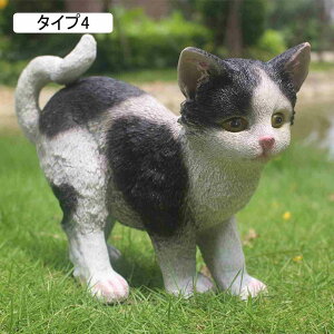 Aj}IuWF lR̒u L ^ AEghA Lbg K[fIuWF CAT  I[ig lR G L̒u IuWF K[f IuWF ^Cv  K[fjO F C