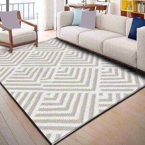 `FA}bg O}bg J[ybg k 120*160cm  킢 􉽊w͗l ~ rO}bg CeA _ Z^[O ی J[13 fXNJ[ybg z[