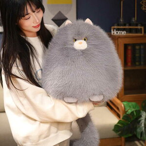 L lR ʂ  NbV ӂӂ  n   Q n  \t@[w Q܂ 傫 GG 炩 u ۂ 􂦂 XgX 30cm