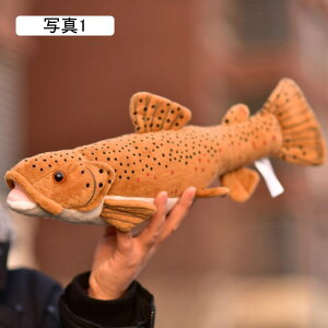 ʂ TJiNV     _炩  킢  O  25cm ʂ NbV A  j  Ǝ ʐ^1 o