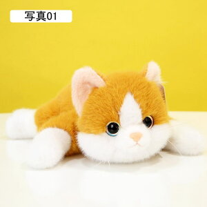 ʂ ܂ D lR L \tgv[g  {   Q    65cm  u A 傫  GObY ʐ^