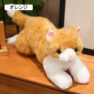 ʂ L g {    l`  X[p[ʂ A NbV _炩 O[ 50cm YQ  q C @\ ӂ