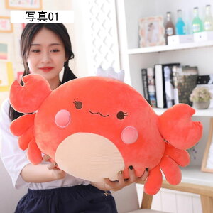 Jjʂ 傫 킢 I  l`  Q ӂӂ Cm w NbV xbh[ ʐ^02 v[g ᔽ ̓  45cm ǂ̓ a