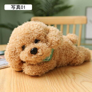  gCv[h ʂ  n ӂӂ efBhbO YQ NbV 35cm A GG C { D ʐ^11 YQ a NX}X v[