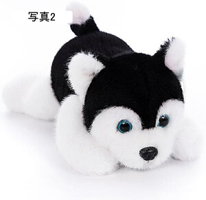 ʂ p_ nXL[ ViEU[  A    ӂӂ  p_̂ʂ  q LbY ʐ^2 ǂ 50cm ̎q a NX}Xv[