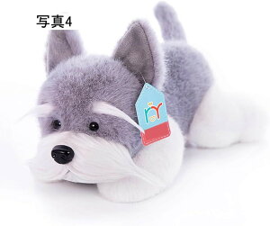 ʂ p_ nXL[ ViEU[  A    ӂӂ  p_̂ʂ  q LbY ʐ^2 ǂ 50cm ̎q a NX}Xv[