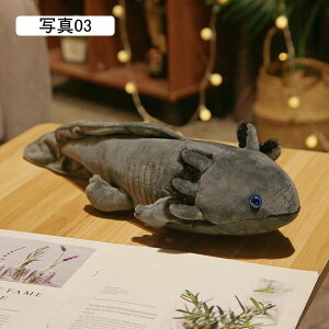 ʂ _炩  ʂ E[p[[p[  l` O qp ֎q \t@[w NbV YQ 傫 45cm q  ̎q ʐ^06 a 