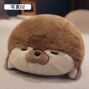 bR ܂ ʂ  C YQ D Q Cml` u v[g l` w   傫 ϋv  \t@[w ʐ^06 ӂӂ 7