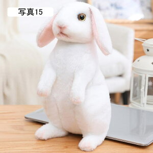  ʂ  ETM { A ӂӂ 킢 \tg q ǂ ̎q a _炩v[g Mtg Aj}  GG j NX}X ʐ^01