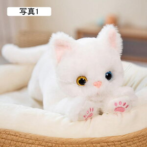 ʂݔL   傫 Aj}  Lʂ ˂ NbV ʐ^3 lR { A 53cm YQ܂ A NX}Xv[g av[g Ce