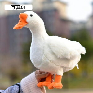  ʂ  NbV 킢  A  _炩 ߋ K`E 33cm NX}X { ̎q a v[g ʐ^01 â