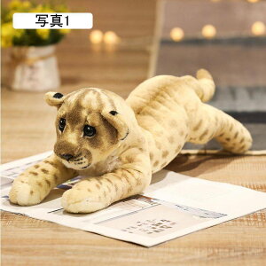  ʂ CI CIʂ  Aj} CI g ^CK[ qE ^ A  NX}X a C  l` ʐ^3 58cm 