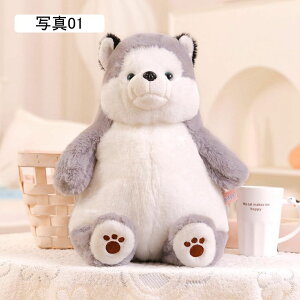 nXL[ ʂ D v[g  Lcl 傫 \tg _炩 ₳Gӂӂ zbLNO}ʂ D \t@[  GG 40cm  