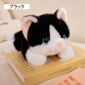 ʂ L lR   A 傫   { A ӂӂ  A L̂ʂ l`  q LbY ǂ ̎q a 30cm NX}Xv