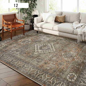 O}bg AeB[N O  J[ybg pb`[N  tAJ[ybg O~ イ ` ԕ 􉽊w k  1 􂦂 120x160cm X   R