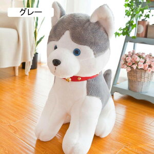  傫   ʂ  A {  G  Aj}   v[g Mtg j 킢 ̂ʂ 35cm NbV    NbV