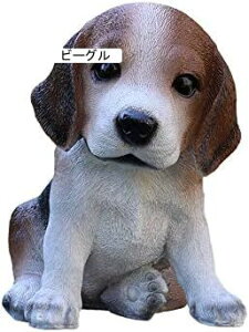 킢 A hbO u ֏  CeA ԉ  I[ig X G K[f IuWF K[fjO a v[g (r[O)