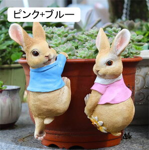 K[fI[ig  u  K[fjOG K[fIuWF   CeA AEghA   fR[V v[g Mtg (sN)