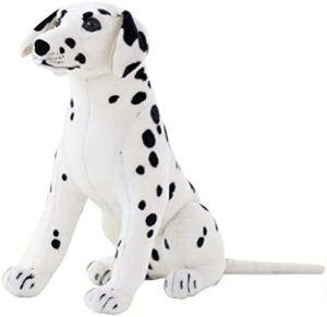 킢 _VA ʂ ̂ 킢 u 菗̎q q a v[g (Ă錢 60cm)