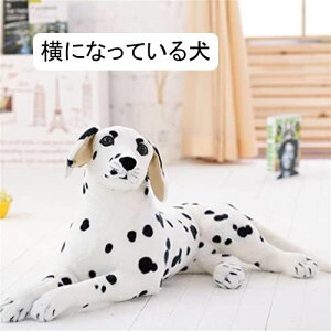 킢 _VA ʂ ̂ 킢 u 菗̎q q a v[g (Ă錢 60cm)