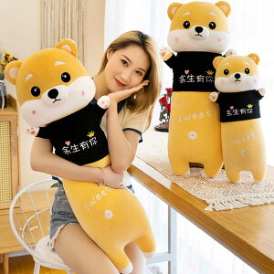 ʂ  Č 50cm O YQ ` nXL[  傫TCY CG[ GG n D ӂӂ Q pp \tg C @\ Ƒ FB N