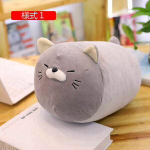 ʂ lR L  傫 YQ  G Q a v[g  l nEB  D IW 50cm NX}X xbhTCh  _炩