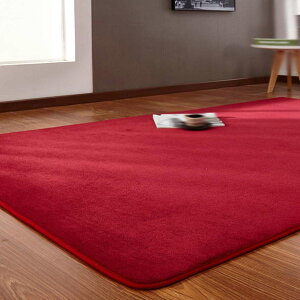 マイクロファイバー 遊び毛防止 抗菌防臭 サラサラ センターラグ 冷房対策 オールシーズン対応 シャギーカーペット リビングラグ じゅうたん ラグマット 北欧 モダン ホットカーペット対応