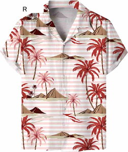 AnVc Y   ʋC  aVc nC r[`Vc rbOVGbg YVc  lC gbvX JbRCC LO p[eB[ v